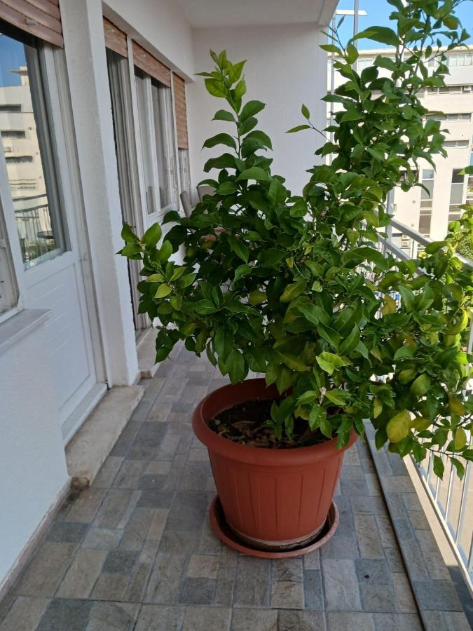 Room With Private Toilet And Balcony In City Center In Shared Apartment Split Buitenkant foto